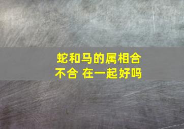 蛇和马的属相合不合 在一起好吗